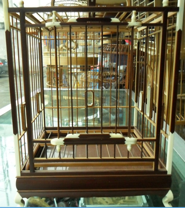 王叶风虎脚补5.jpg