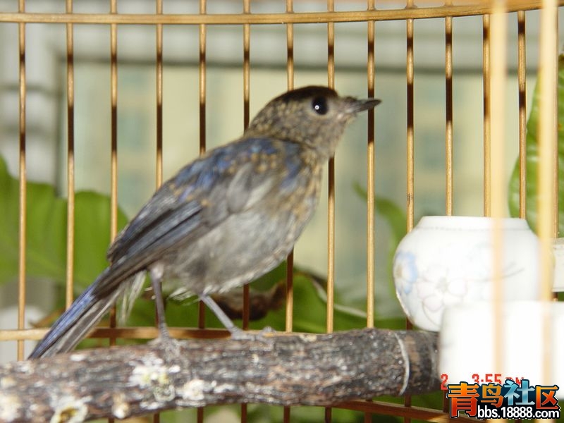 DSC09755.JPG