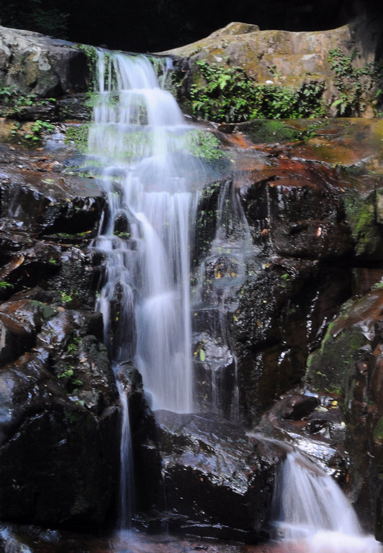 DSC_0473.JPG