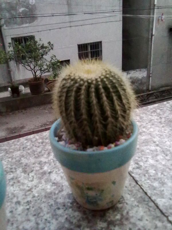 201209251035.jpg