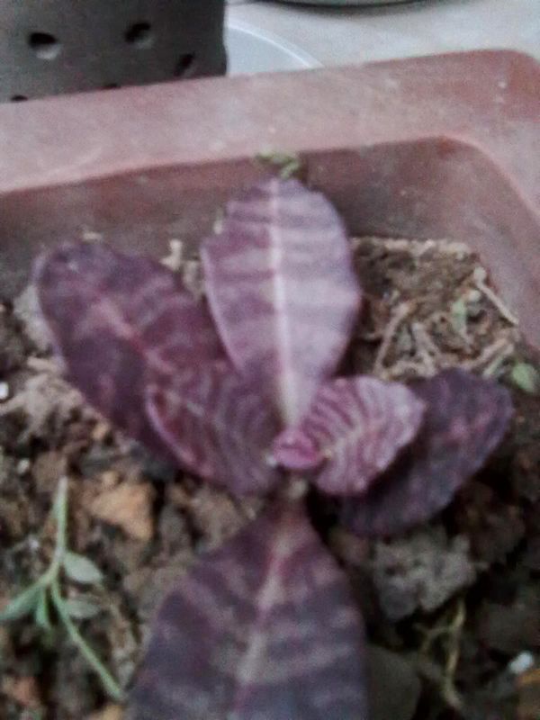 201210111049.jpg