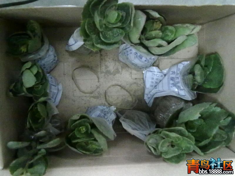 201210221072.jpg