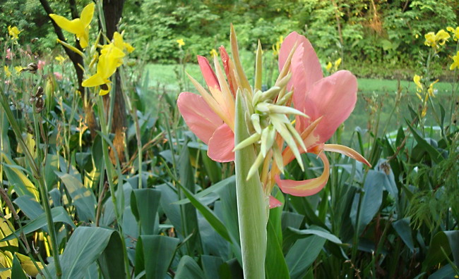 DSC03106.jpg