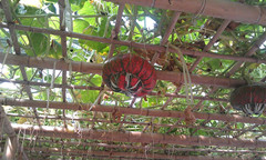 imag0725_副本.jpg