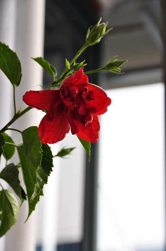 DSC_6423_副本.jpg