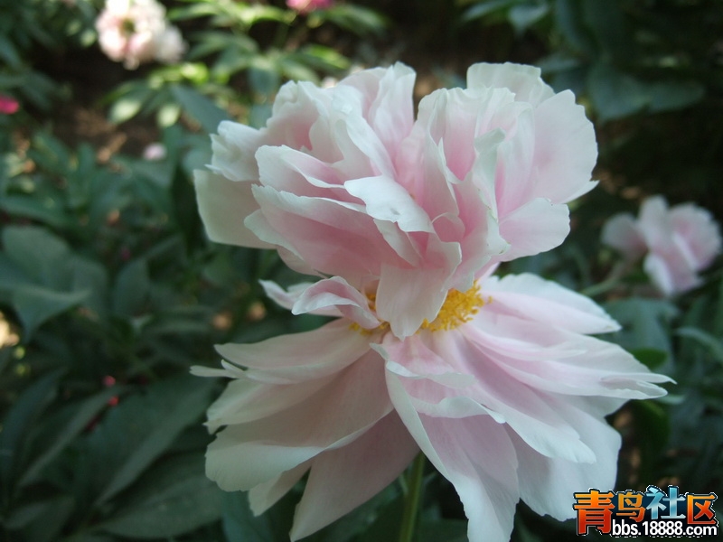 DSCF4760_调整大小.JPG