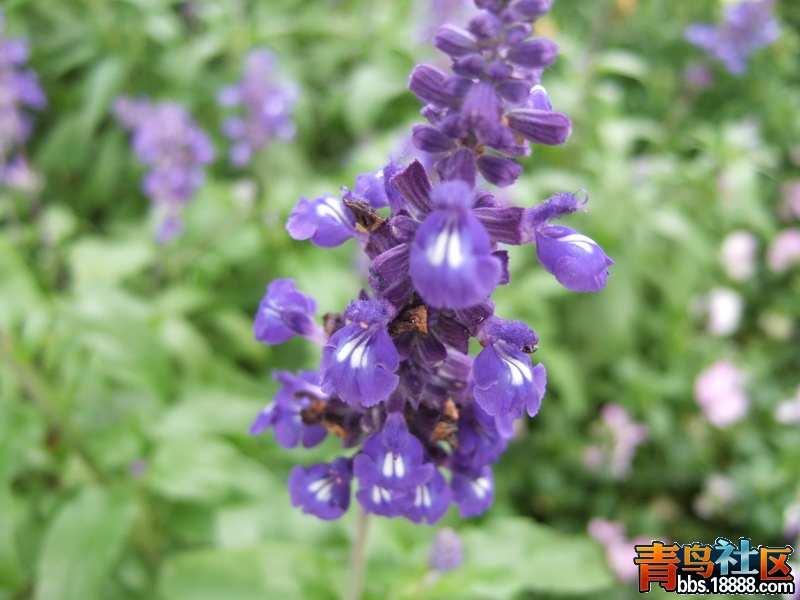 DSCF0163_调整大小.JPG