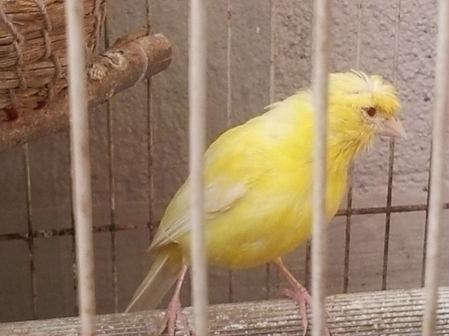 20121021_114726.jpg