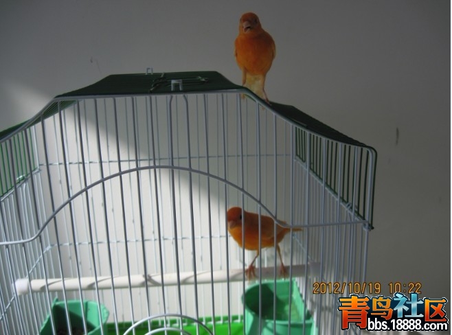 未命名6.jpg