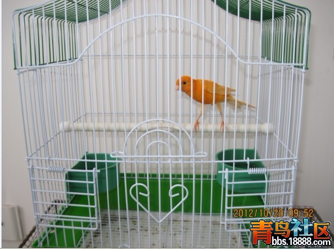 未命名3.jpg