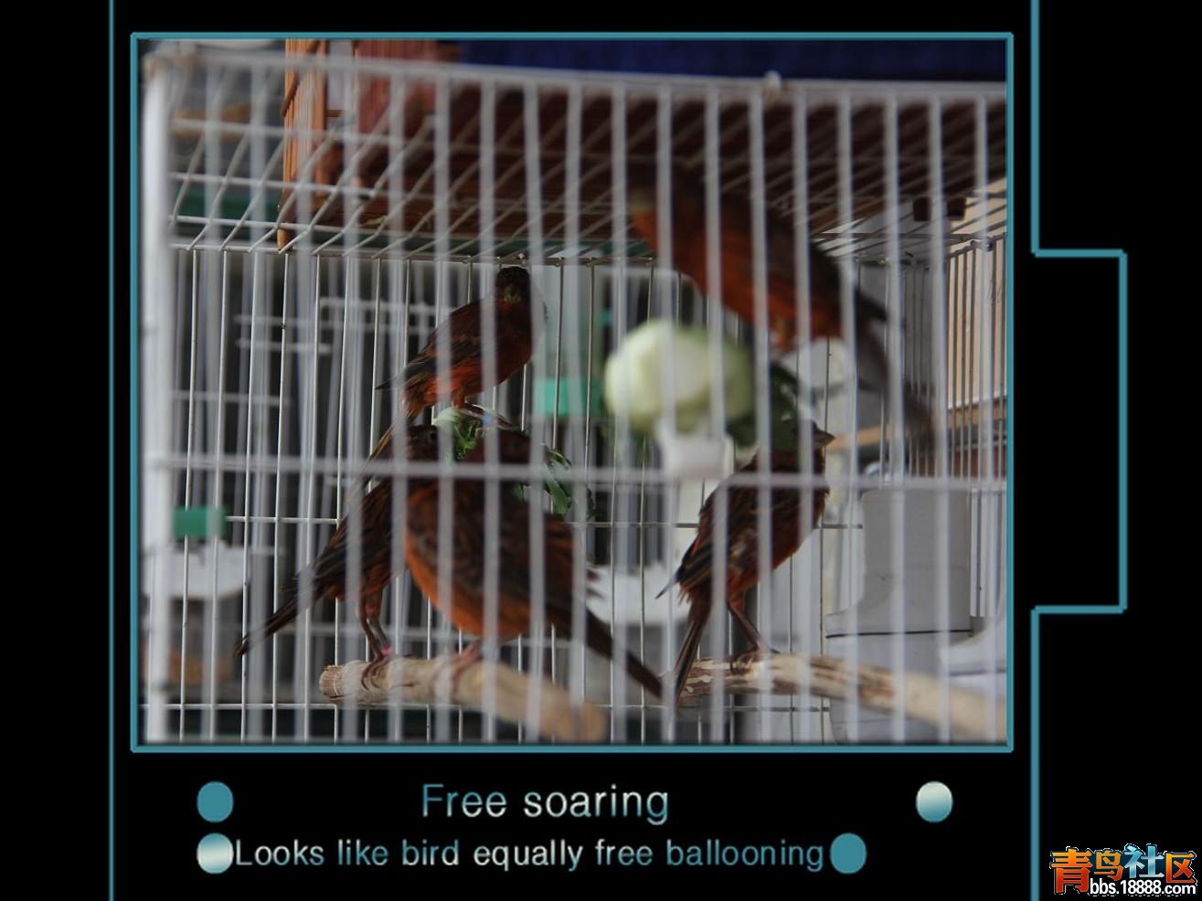 4.JPG