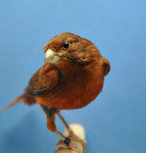 DSC_0194.jpg