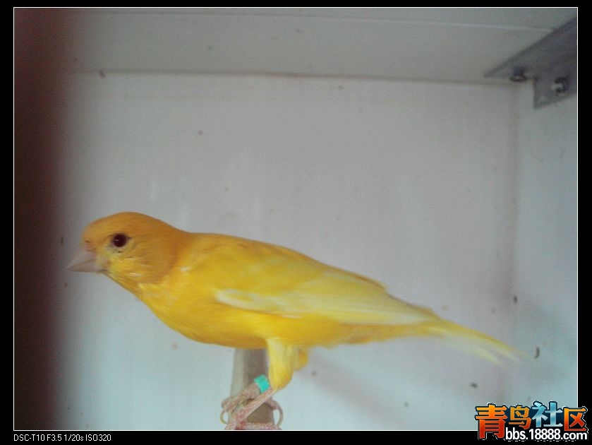 nEO_IMG_DSC01958.jpg