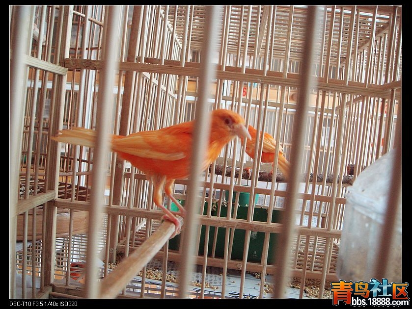 nEO_IMG_DSC01696.jpg