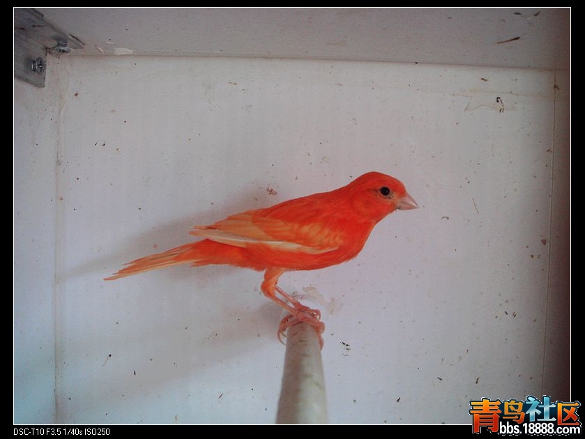 nEO_IMG_DSC01678.jpg