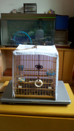 2012-10-22_16-05-55_307.jpg