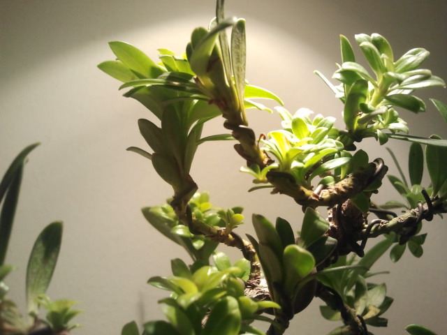 2012-10-20 16.16.29.jpg