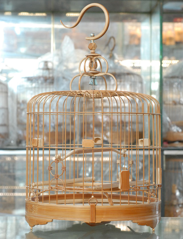 DSC_0005.JPG