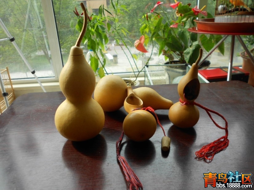 未命名1.jpg