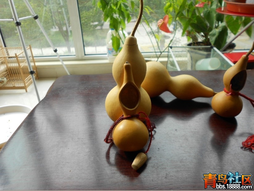 未命名2.jpg