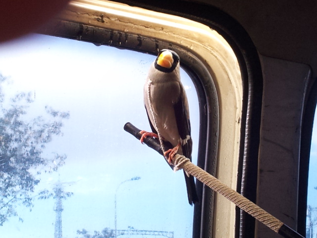 20121009_152126.jpg