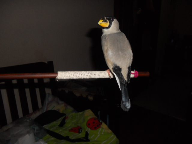 DSCN0362.JPG