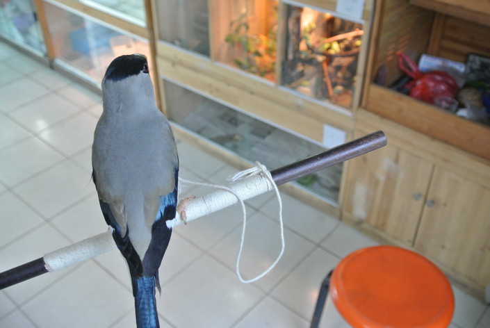 DSC_1211.JPG