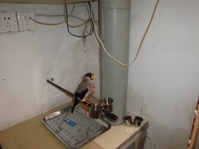 DSC03386.JPG
