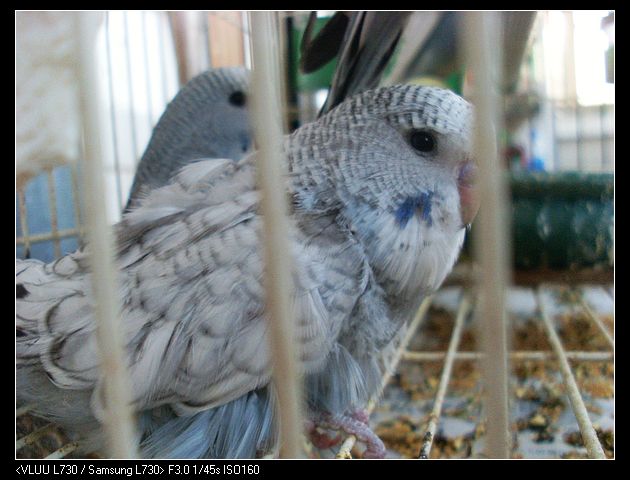 nEO_IMG_SL372270.jpg