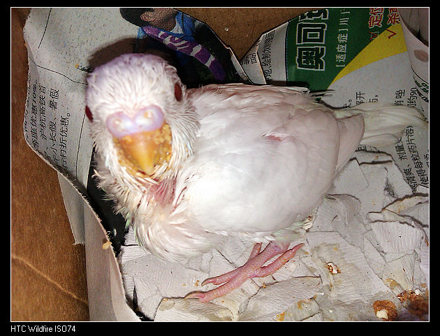 nEO_IMG_IMAG0196.jpg