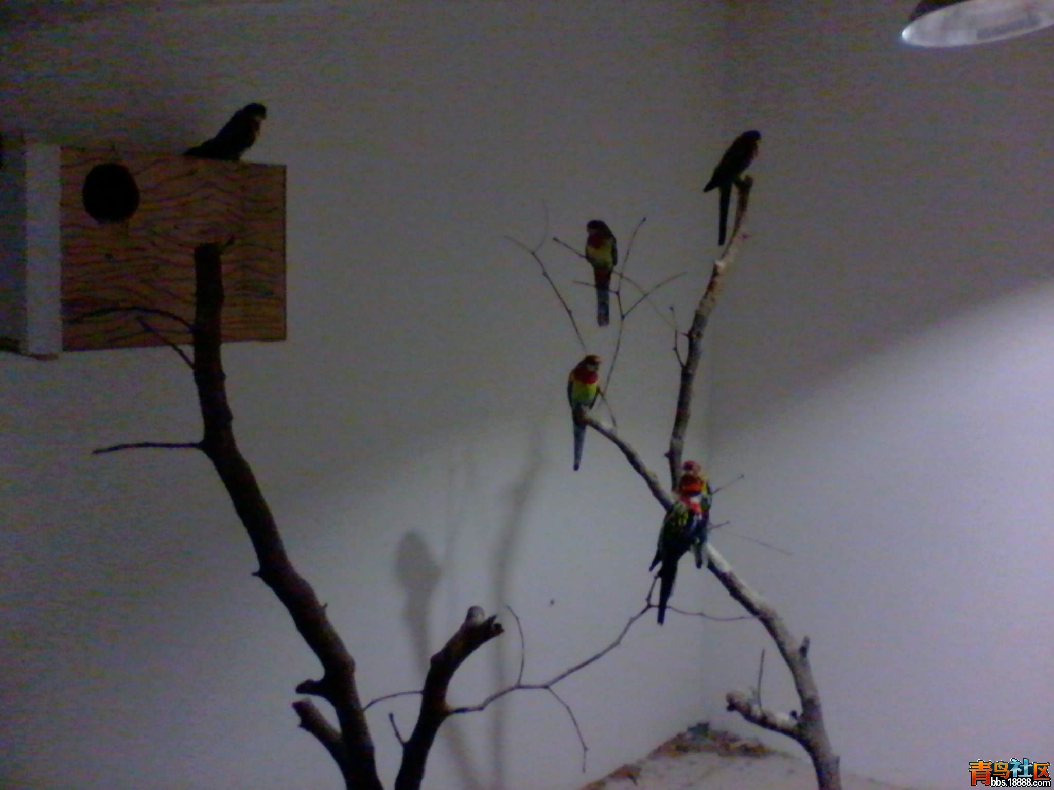 2012-10-22 22.31.41.jpg