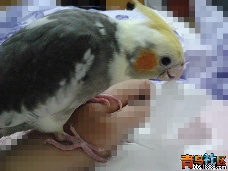 2012-10-25 20.07.38_副本.jpg