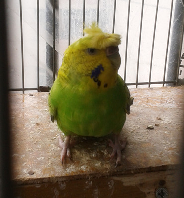 2012-10-05 11.57.01_副本.jpg