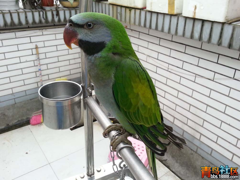 20121006_124646_1.jpg