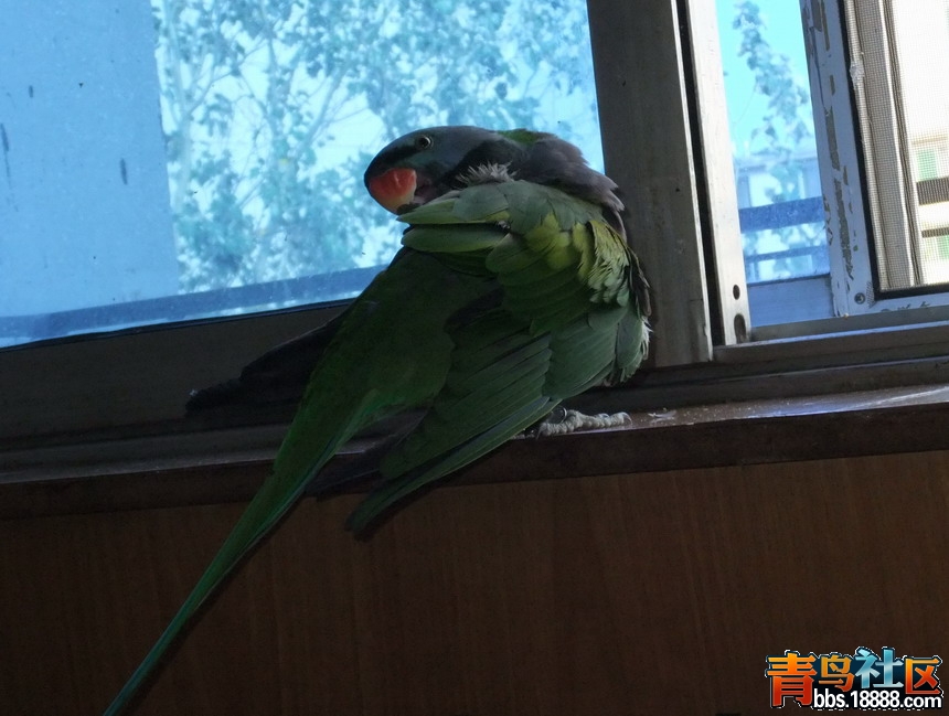 照片 182.jpg