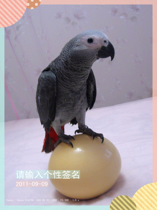照片 797_副本.jpg