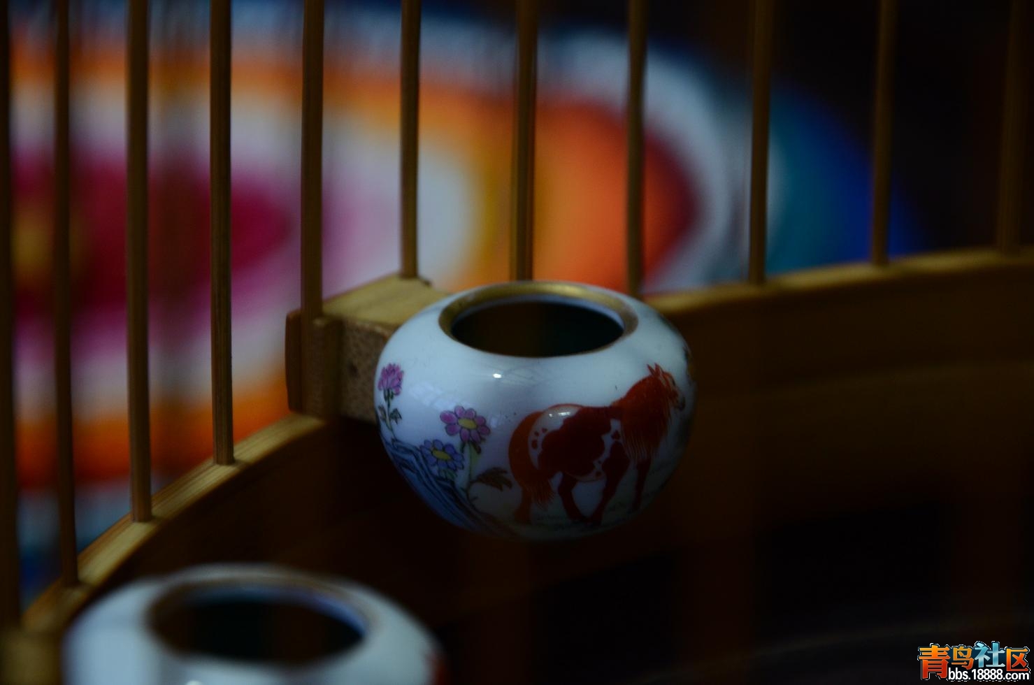 DSC_5818.JPG