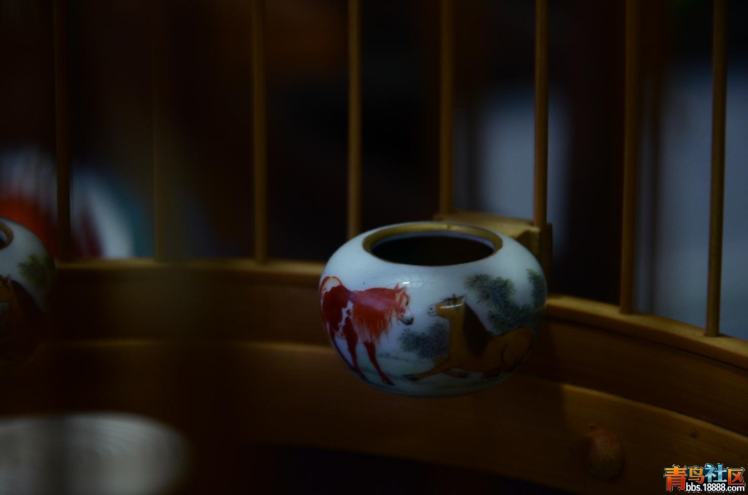 DSC_5819.JPG