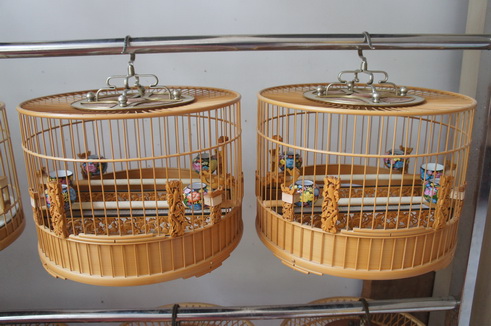 DSC01104_调整大小.JPG