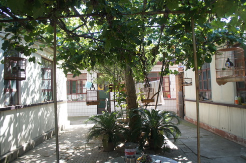 DSC01179_调整大小.JPG