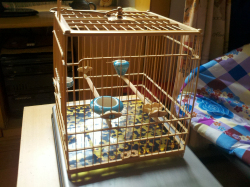 C360_2012-10-22-15-53-12.jpg