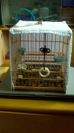 2012-10-22_16-06-49_634.jpg