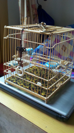 2012-10-22_16-02-17_842.jpg