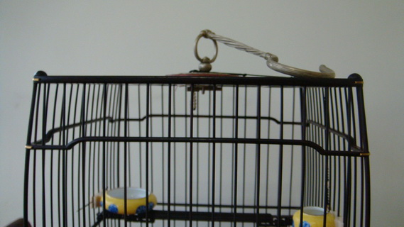 DSC05303_调整大小.JPG