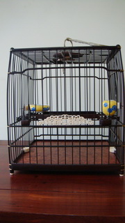 DSC05299_调整大小.JPG