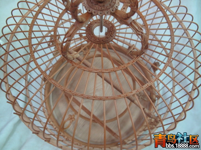 照片 473_调整大小.jpg