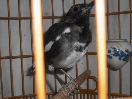 DSCF1469.JPG
