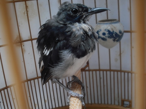 DSCF1120.JPG