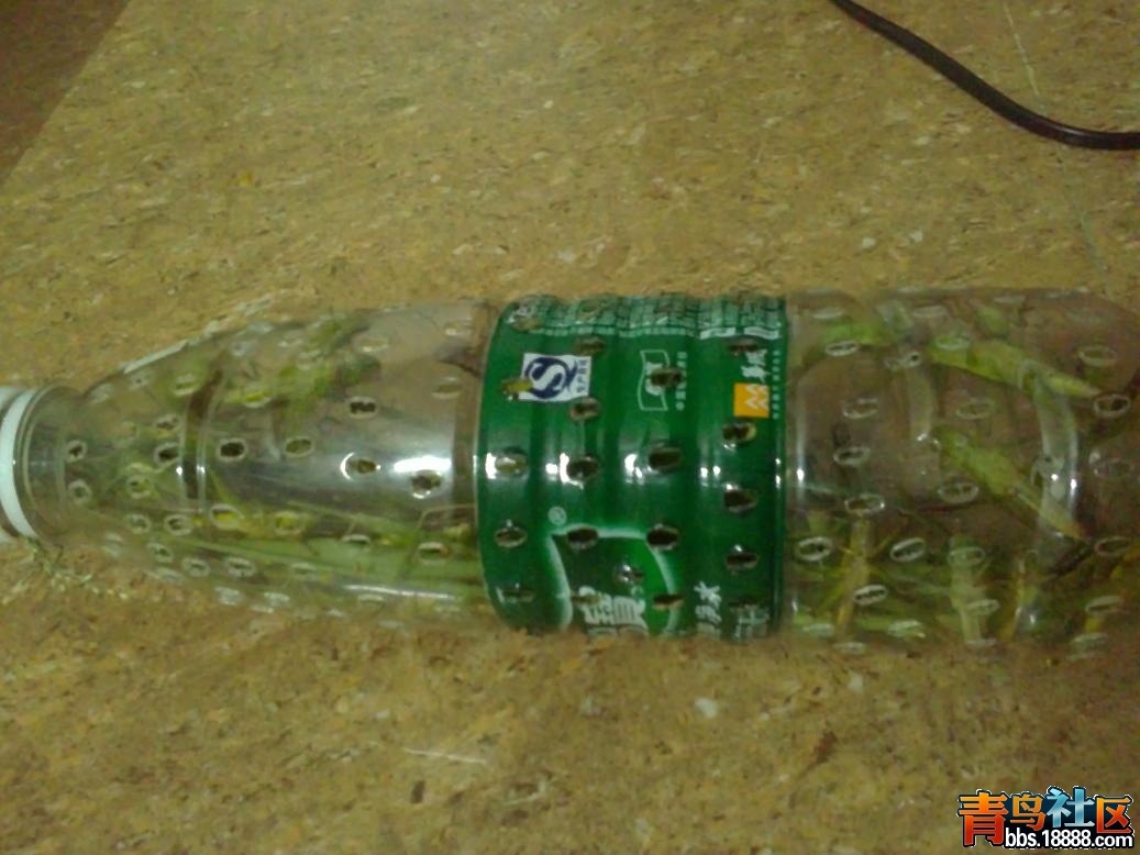 20121024769.JPG