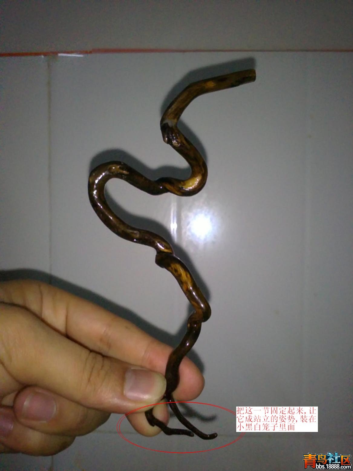 20121020760999.JPG